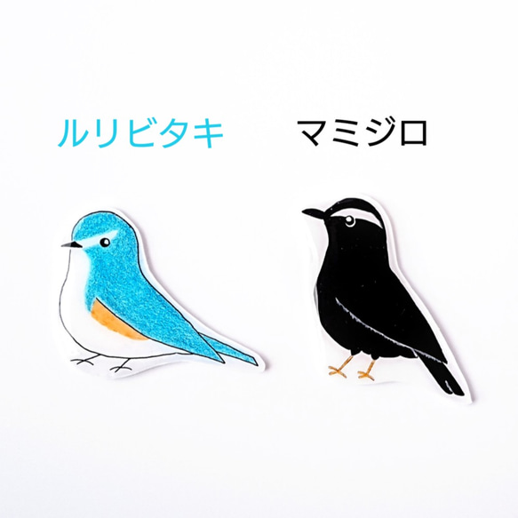 野鳥ブローチ(眉あり5種+シークレット1種)　Creema限定販売　特集掲載 4枚目の画像