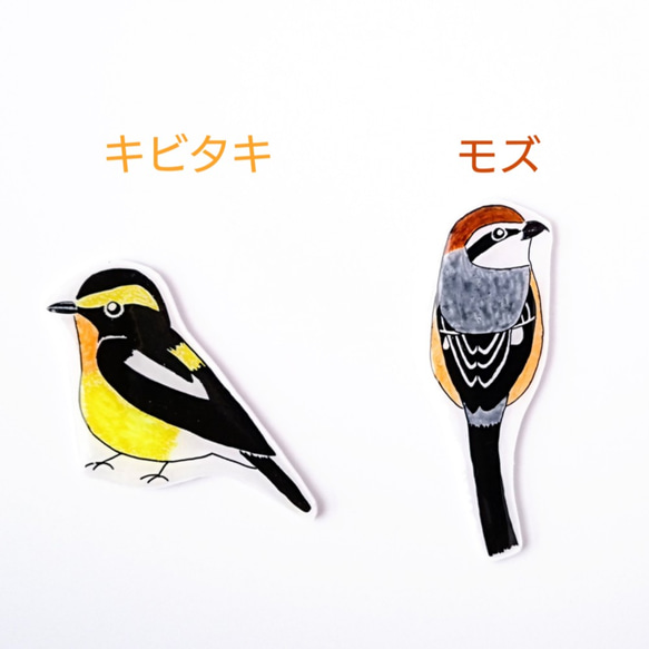 野鳥ブローチ(眉あり5種+シークレット1種)　Creema限定販売　特集掲載 5枚目の画像