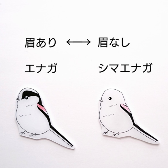 野鳥ブローチ(眉あり5種+シークレット1種)　Creema限定販売　特集掲載 6枚目の画像