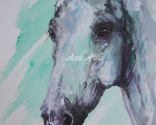 油絵　馬 Amazon.co.jp: 競馬 馬 絵画 JRA ポストカード 長瀬智之 他