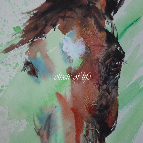 見つめる馬（墨絵、水彩、高級水彩画用紙、16cm×22,5cm） 絵画