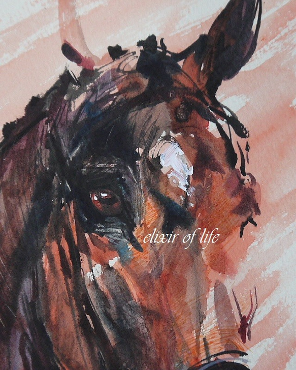 馬場馬術の若い馬（墨絵、水彩、高級水彩画用紙、１６ｃｍ×２２，５ｃｍ） 2枚目の画像