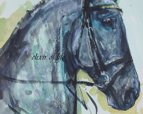 葦毛色の馬のポートレート、2（墨絵、高級水彩画用紙、16cm