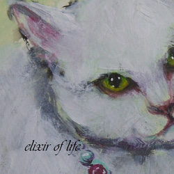 ネックレスをつけた白い猫（墨、アクリル、高級水彩画用紙、１６ｃｍ×２２，５ｃｍ） 2枚目の画像