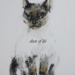 シャム猫（墨絵、厚い和紙、２６ｃｍ×３６ｃｍ） 1枚目の画像