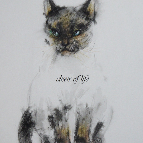 シャム猫　アート　絵画　極美品 シャム猫（墨絵、厚い和紙、26cm×36cm）
