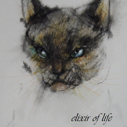 シャム猫（墨絵、厚い和紙、２６ｃｍ×３６ｃｍ） 2枚目の画像