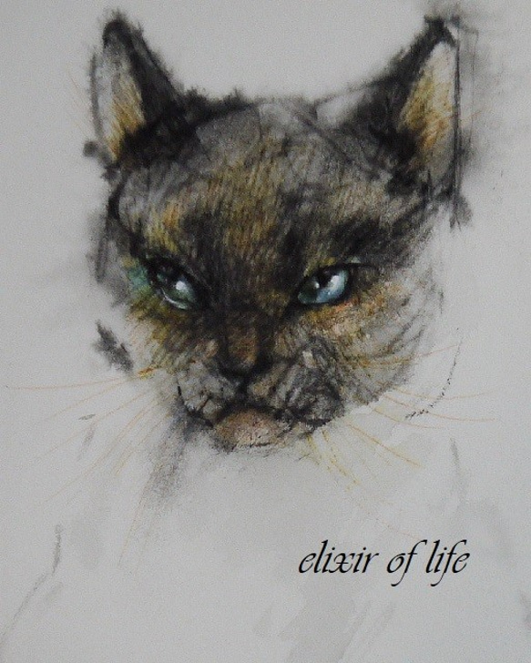 シャム猫（墨絵、厚い和紙、２６ｃｍ×３６ｃｍ） 2枚目の画像