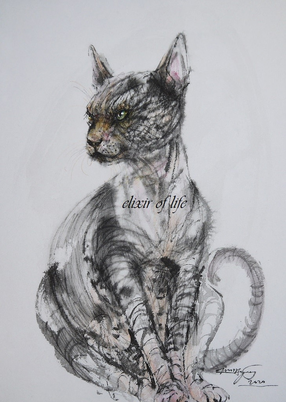 若いスフィンクス猫（墨絵、その他、厚い和紙２６cm×３６ｃｍ） 1枚目の画像