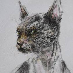 若いスフィンクス猫（墨絵、その他、厚い和紙２６cm×３６ｃｍ） 2枚目の画像