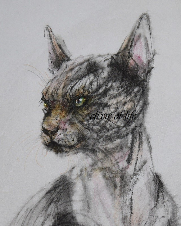 若いスフィンクス猫（墨絵、その他、厚い和紙２６cm×３６ｃｍ） 2枚目の画像