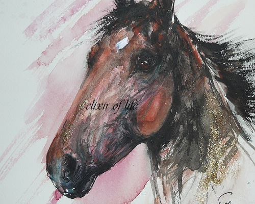 鹿毛馬のポートレート（高級水彩画用紙F3，22cm×27cm、墨