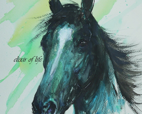 水彩画　古物　競走馬　戦前の作品　作者不明 注目のブランド 戦前の作品 競走馬 古物 水彩画 作者不明 絵画