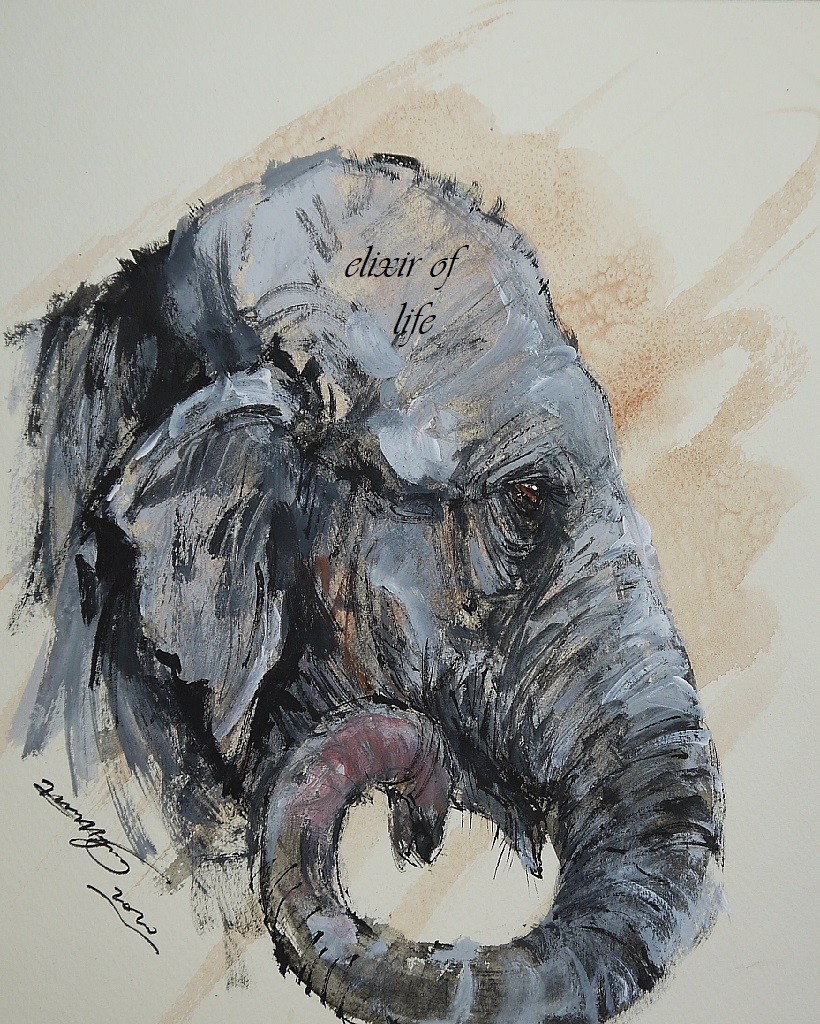 「ゾウ」の絵画❗早いもの勝ち❗ 楽天スーパーセール】 「ゾウ」の絵画❗早いもの勝ち❗ 絵画 - 絵画