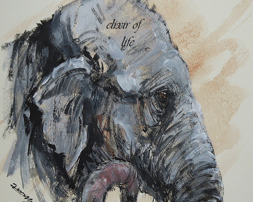 0_8b54ad00ed2b98e4410ab932c230