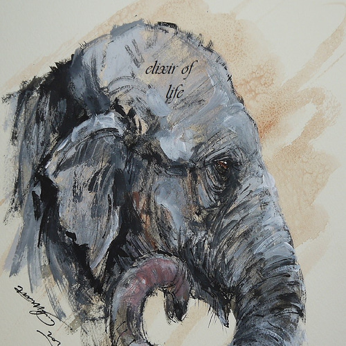 サーカスのゾウ（高級水彩画用紙F3，22cm×27cm、墨、水彩