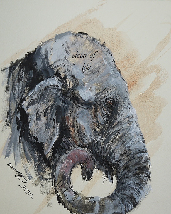 サーカスのゾウ（高級水彩画用紙F3，22cm×27cm、墨