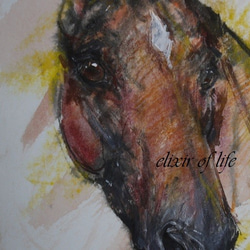 A chestnut Horse（墨絵、その他、厚い和紙、２６ｃｍ×３６ｃｍ） 2枚目の画像