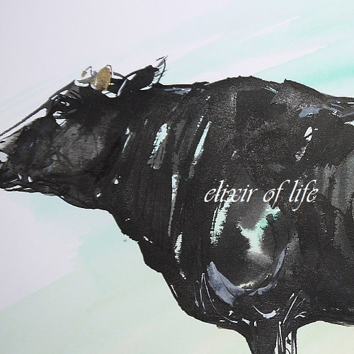 若い黒い牛(A4, 墨絵、水彩画用紙、21cm×29,5cm) 絵画 ELIXIR OF 若い黒い牛(A4, 墨絵、水彩画用紙、21cm×29,5cm) 絵画 ELIXIR OF