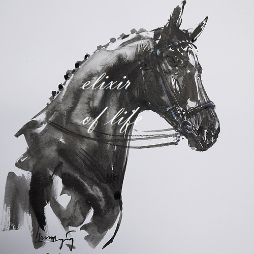 Dressage Horse（墨絵、水彩、水彩画用紙、A4） 絵画 ELIXIR OF