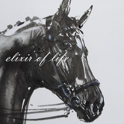 Dressage Horse（墨絵、水彩、水彩画用紙、A4） 2枚目の画像