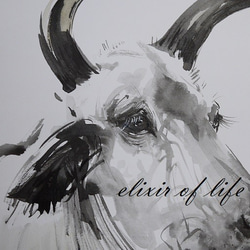 聖なる牛（墨絵、水彩、水彩画用紙、A4） 2枚目の画像