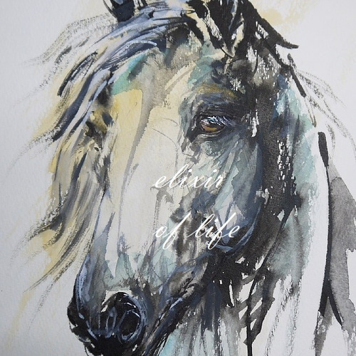 葦毛の馬（墨絵、高級水彩画用紙、19cm×26，5cm） 絵画