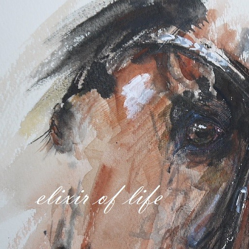 競走馬のポートレート（墨絵、水彩、高級水彩画用紙、B519cm×26