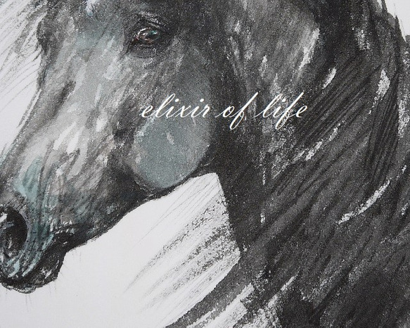 "A black Stallion" (墨絵、厚い和紙、２６ｃｍ×３６ｃｍ） 2枚目の画像