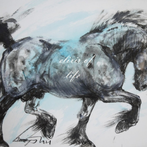 お馬さんの鉛筆肖像画＊Freedom～TMoperao②～ - Smile drop
