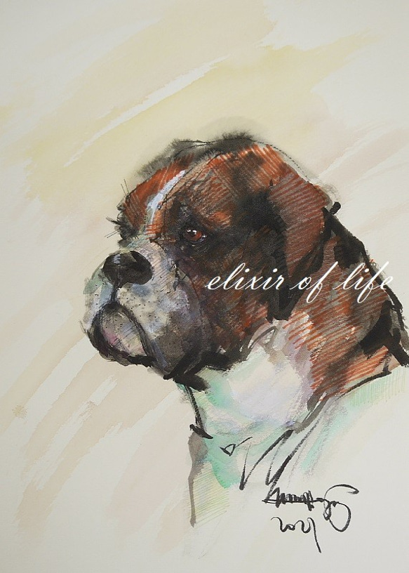 飼い主を見つめる犬のポートレート。（A4サイズ、高級水彩画用紙、墨、水彩） 1枚目の画像