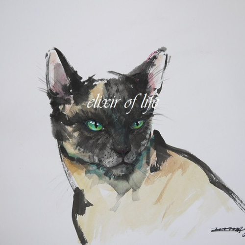 シャム猫の絵 水彩画 原画 額付き「白い薔薇とシャム猫」 シャム猫の絵 水彩画 原画 額付き「白い薔薇とシャム猫」