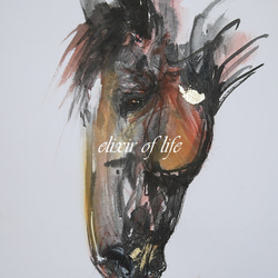 馬　水彩肉質画　印あり　箱あり 土井博詞】水墨画・馬/サイン入り/絵画/額縁・壁飾り