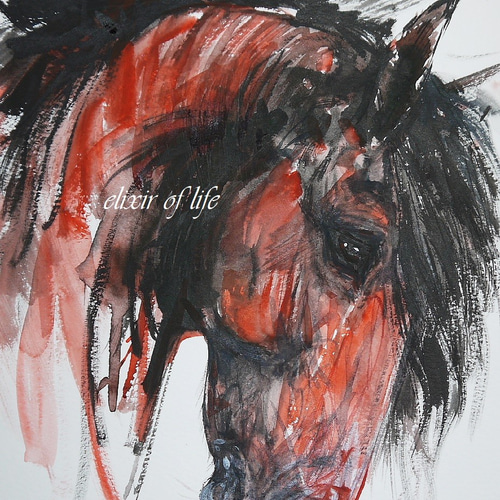 感情、赤い馬のポートレート（高級水彩画用紙、F4, 24cm×33