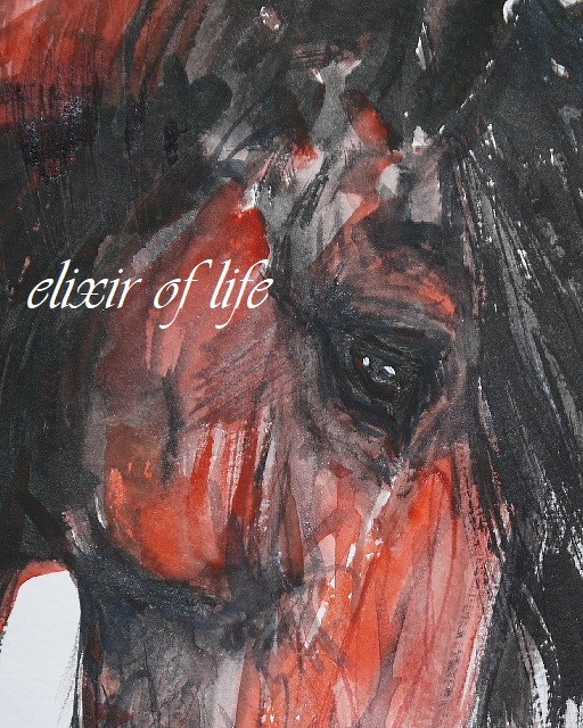 感情、赤い馬のポートレート（高級水彩画用紙、F4, 24cm×３３，５ｃｍ、墨、水彩） 2枚目の画像