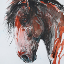 馬　水彩肉質画　印あり　箱あり 肉筆油彩画「疾走する九頭馬」 M10号 今回限定10 ー 三宝堂