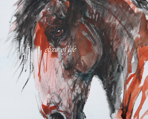 値段が激安 赤い馬のポートレート（高級水彩画用紙、F2、24cm×19 絵画