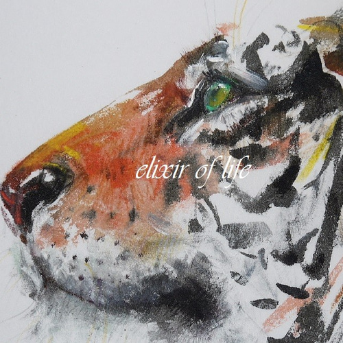 猛虎 寅 絵画 日本画 水彩画 在銘 F6号 額寸縦53cm ✖️ 横41cm