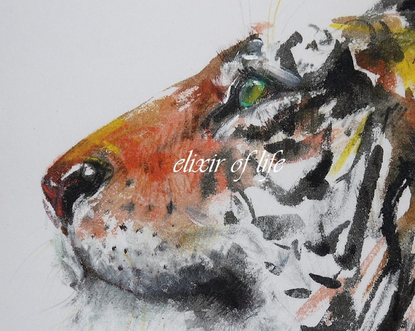虎の横顔(厚い和紙、24cm×32cm、墨絵、墨、パステル) 2枚目の画像