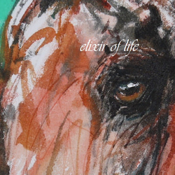 馬の頭部(厚い和紙、24cm×32cm、墨絵、墨、水彩) 2枚目の画像