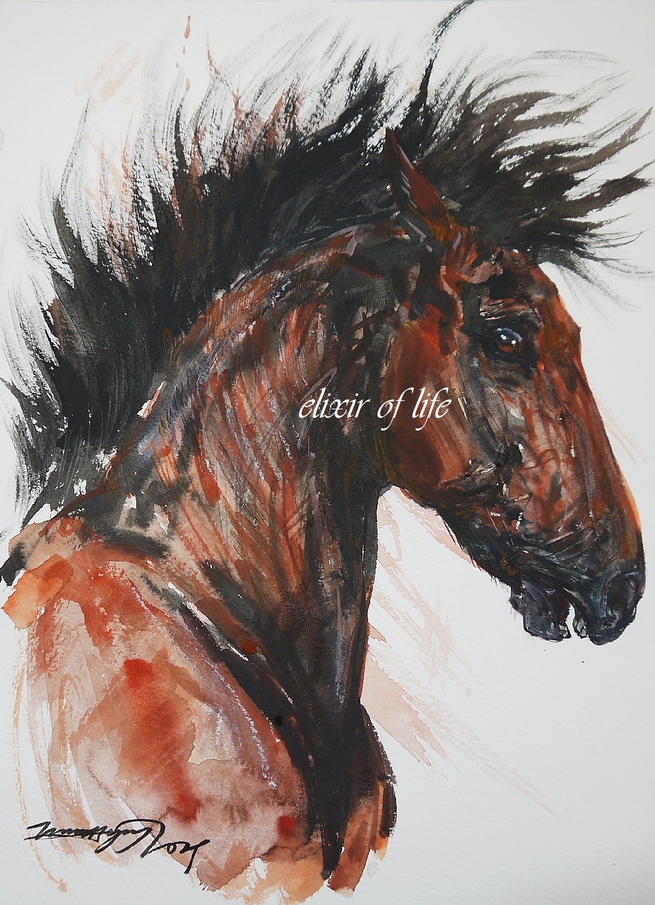 馬　水彩画 立ち上がる馬(高級水彩画用紙、F4, 24cm×33，5cm、墨、水彩