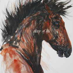 0_2f51ba574637be1cc5e055aa6878