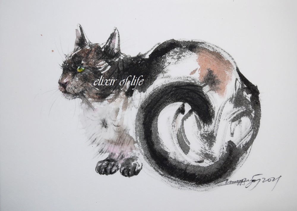 猫絵画 いれぶんが絵画に？！🖼 猫が入ることにより完成するベッド