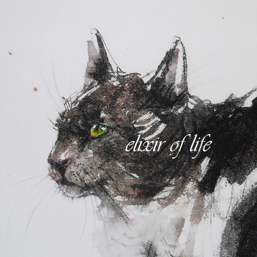 三毛猫(厚い和紙、24cm×32cm、墨絵、墨) 絵画 ELIXIR OF LIFE