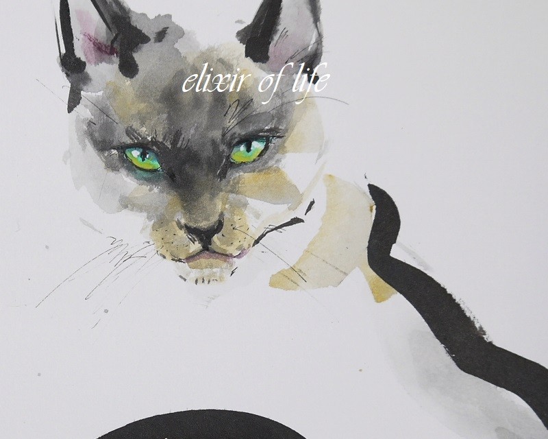 シャム猫の絵 水彩画 原画 額付き「白い薔薇とシャム猫」