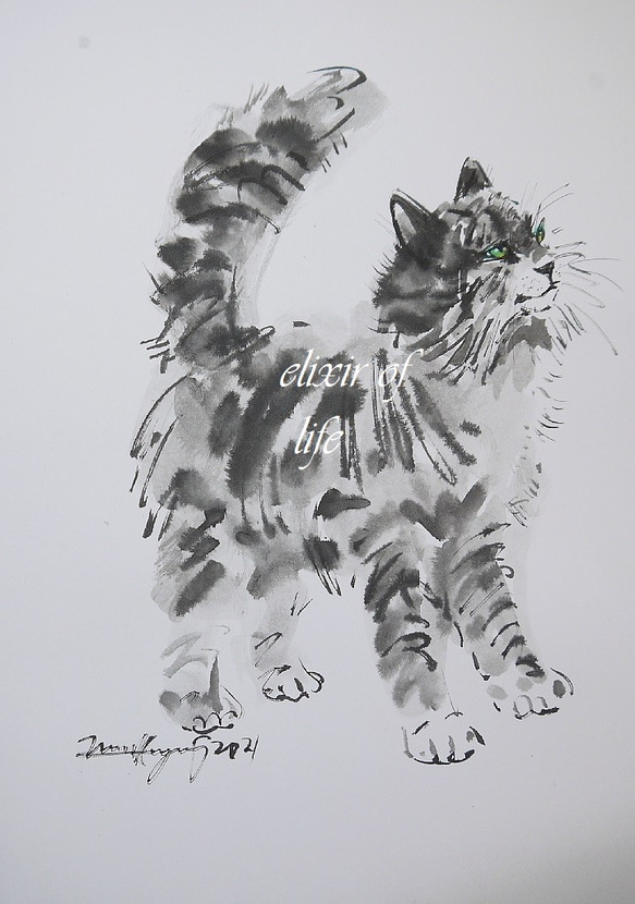 メインクーンの仔猫２０２１（A4サイズ、水彩画用紙、墨絵） 1枚目の画像