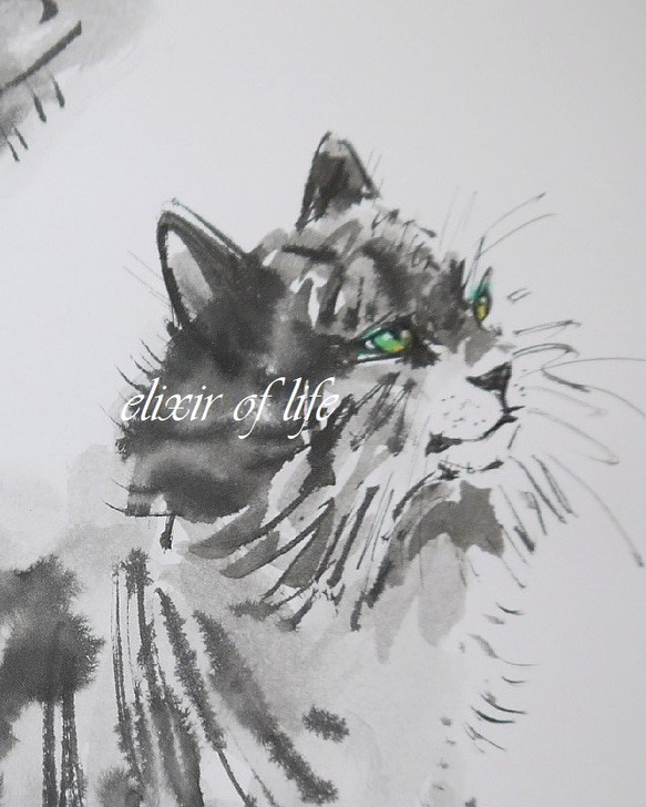 メインクーンの仔猫２０２１（A4サイズ、水彩画用紙、墨絵） 2枚目の画像