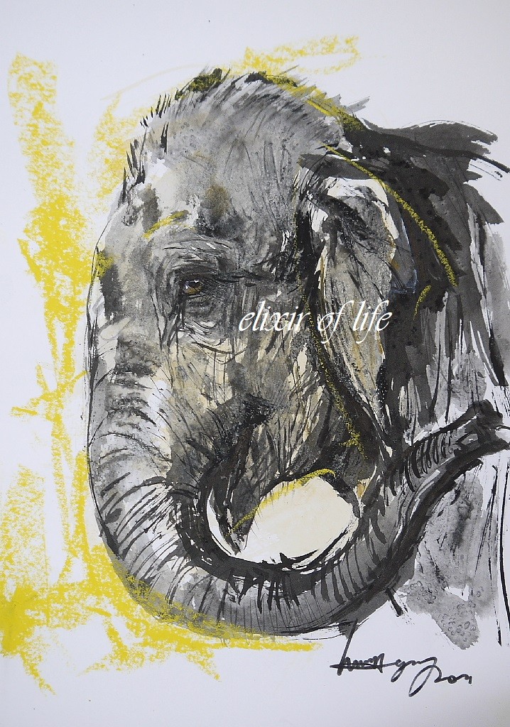 水彩画 (象) 絵画 動物 ゾウ インテリアアート額付き 水彩画・油絵調