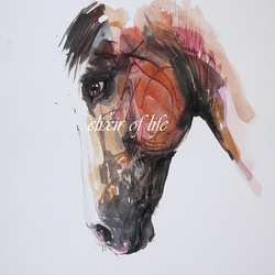 馬の横顔２０２１（A4サイズ、水彩画用紙、墨、水彩） 1枚目の画像