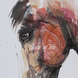 馬の横顔２０２１（A4サイズ、水彩画用紙、墨、水彩） 2枚目の画像